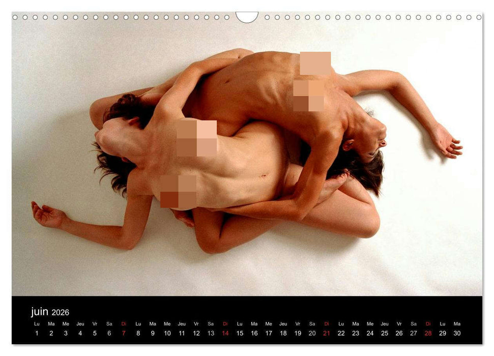 La gym en images (CALVENDO Calendrier mensuel 2026)