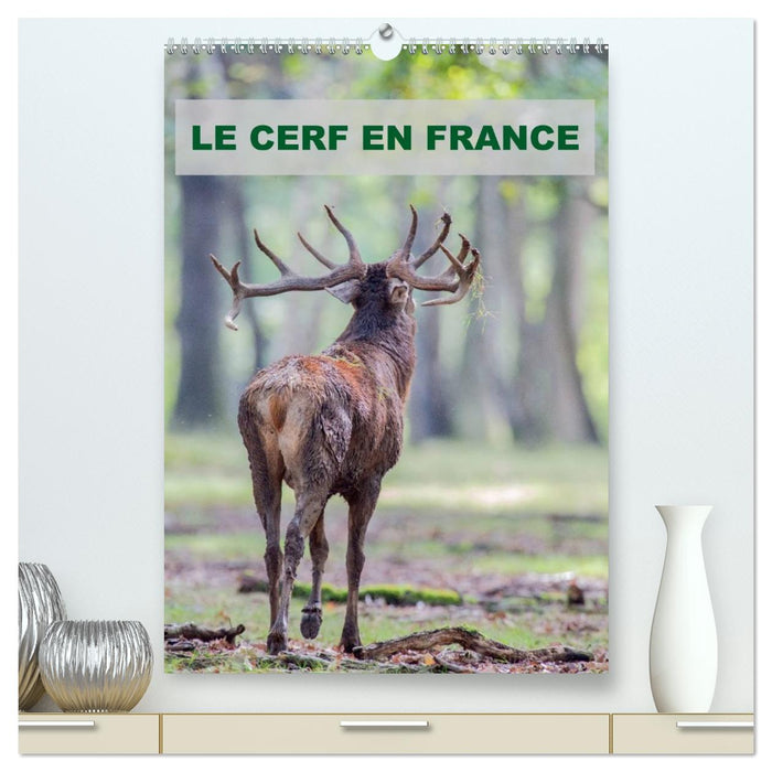 LE CERF EN FRANCE (CALVENDO Calendrier supérieur 2026)