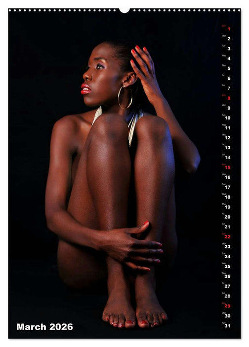 Seated naked beauties (CALVENDO Premium-Calendar 2026)