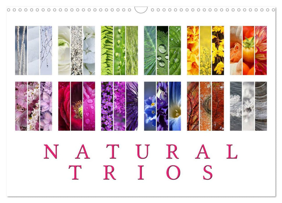 Natural Trios (CALVENDO Monthly Calendar 2026)