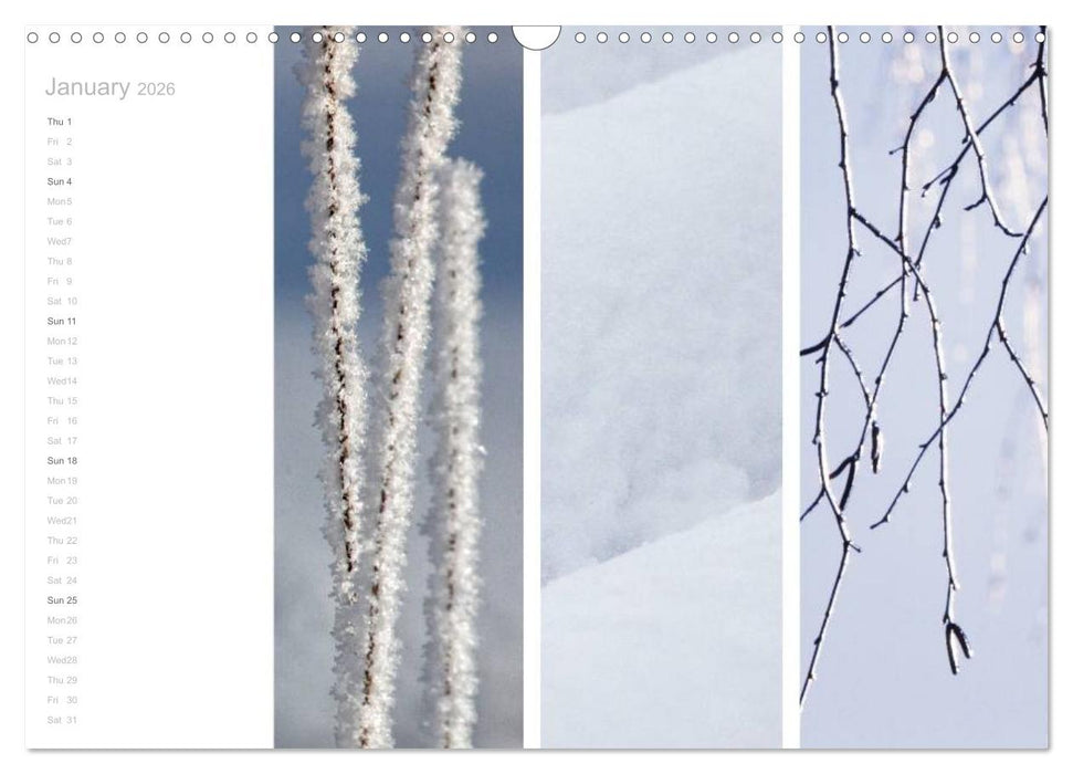 Natural Trios (CALVENDO Monthly Calendar 2026)