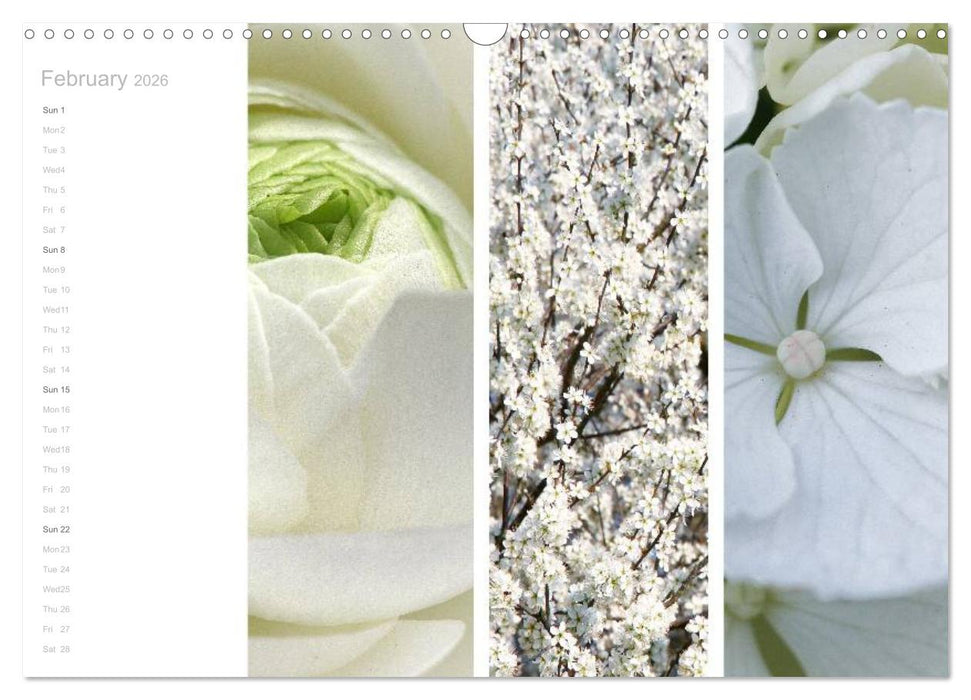 Natural Trios (CALVENDO Monthly Calendar 2026)