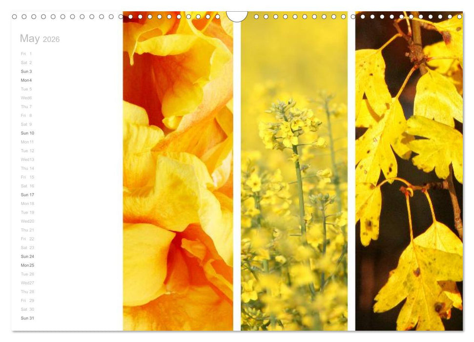 Natural Trios (CALVENDO Monthly Calendar 2026)