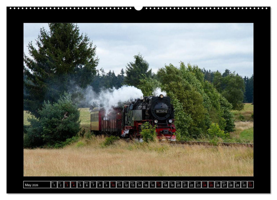 Steam Experience (CALVENDO Premium-Calendar 2026)