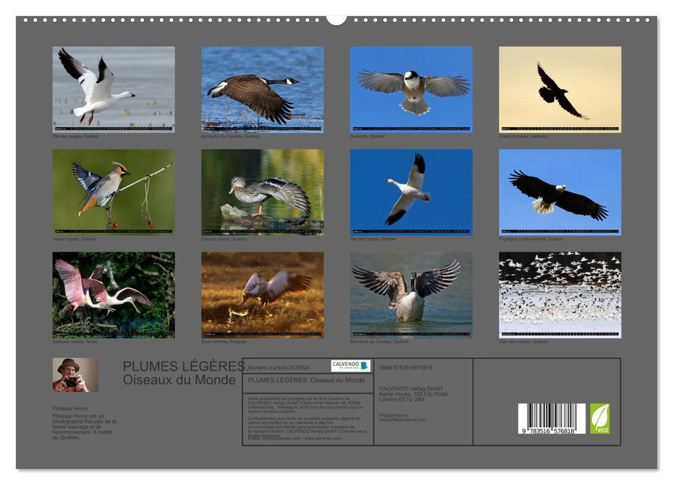 PLUMES LÉGÈRES. Oiseaux du Monde (CALVENDO Calendrier supérieur 2026)