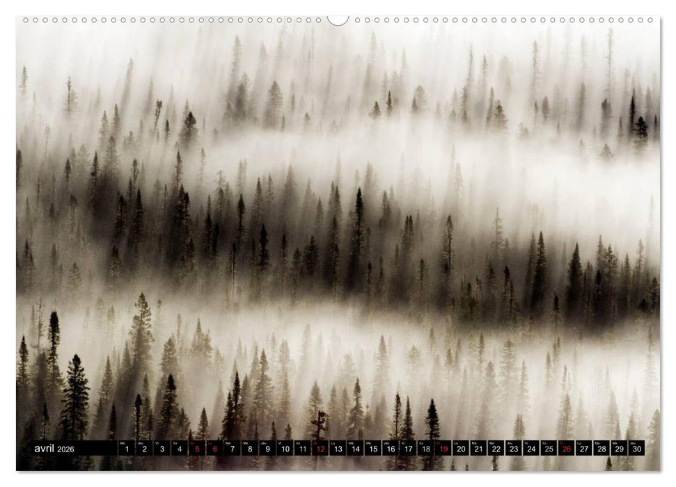 GASPÉSIE. Parc National du Québec (CALVENDO Calendrier supérieur 2026)