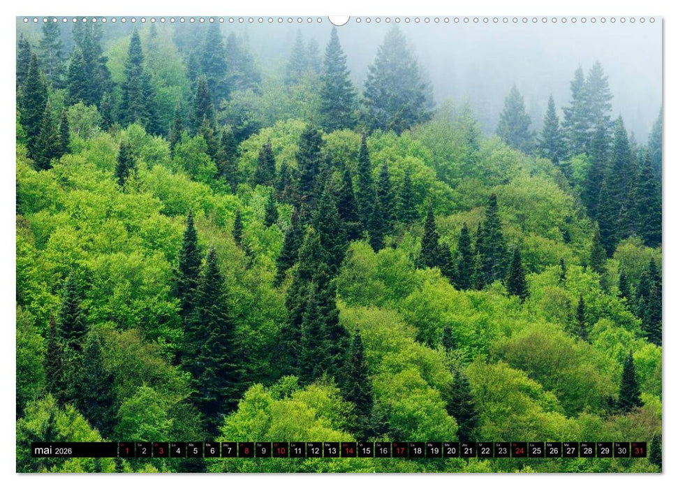 GASPÉSIE. Parc National du Québec (CALVENDO Calendrier supérieur 2026)