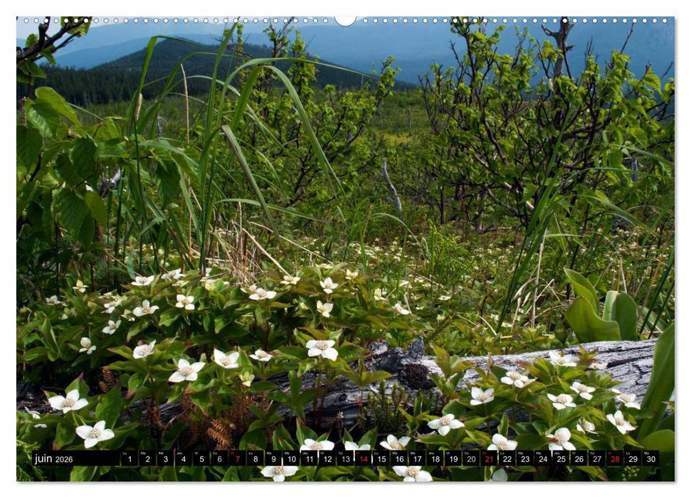 GASPÉSIE. Parc National du Québec (CALVENDO Calendrier supérieur 2026)