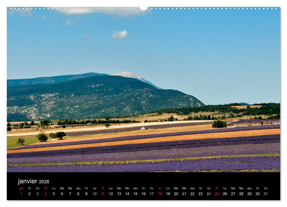Lavande, l'or bleu de Provence (CALVENDO Calendrier supérieur 2026)
