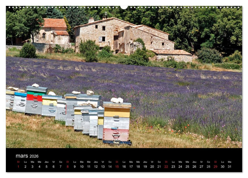 Lavande, l'or bleu de Provence (CALVENDO Calendrier supérieur 2026)