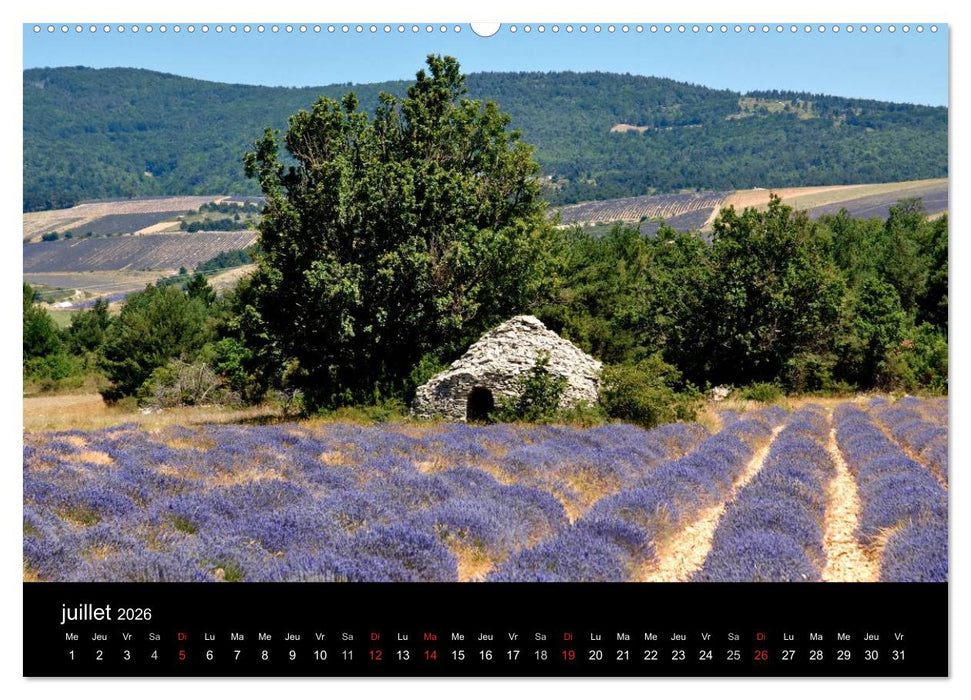 Lavande, l'or bleu de Provence (CALVENDO Calendrier supérieur 2026)