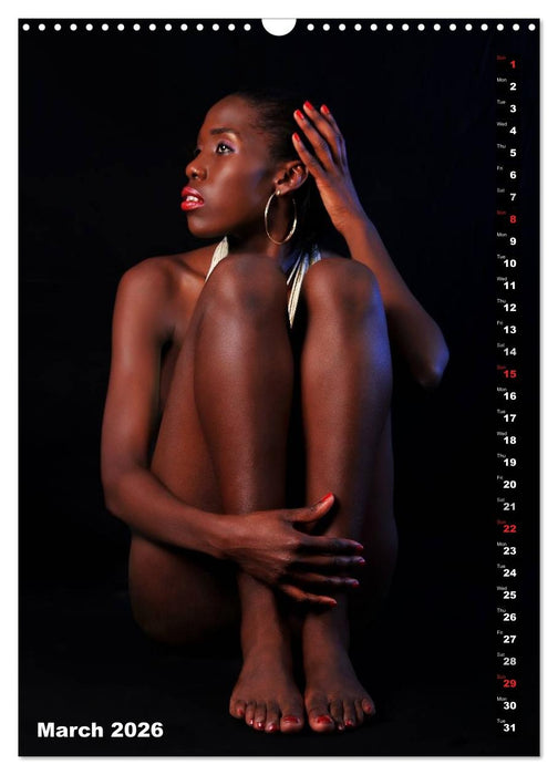 Seated naked beauties (CALVENDO Monthly Calendar 2026)