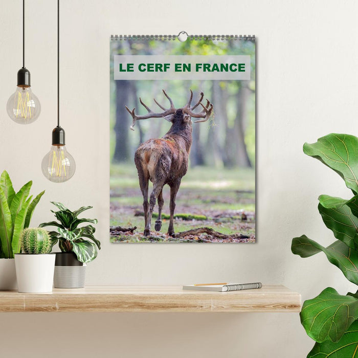 LE CERF EN FRANCE (CALVENDO Calendrier mensuel 2026)