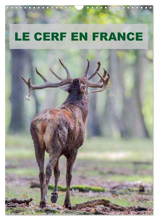 LE CERF EN FRANCE (CALVENDO Calendrier mensuel 2026)