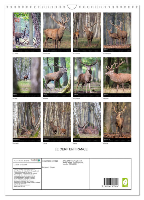 LE CERF EN FRANCE (CALVENDO Calendrier mensuel 2026)