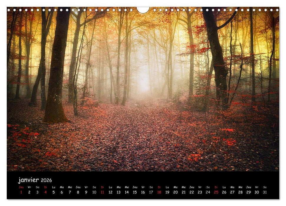 BROCELIANDE, la forêt (CALVENDO Calendrier mensuel 2026)