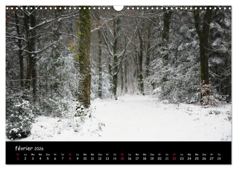BROCELIANDE, la forêt (CALVENDO Calendrier mensuel 2026)