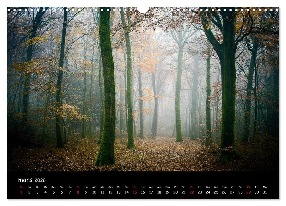 BROCELIANDE, la forêt (CALVENDO Calendrier mensuel 2026)