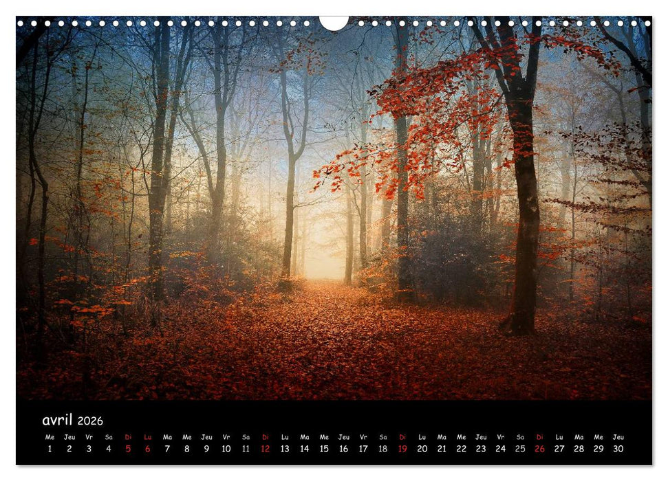 BROCELIANDE, la forêt (CALVENDO Calendrier mensuel 2026)