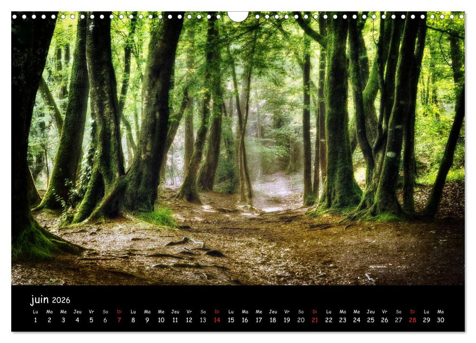 BROCELIANDE, la forêt (CALVENDO Calendrier mensuel 2026)