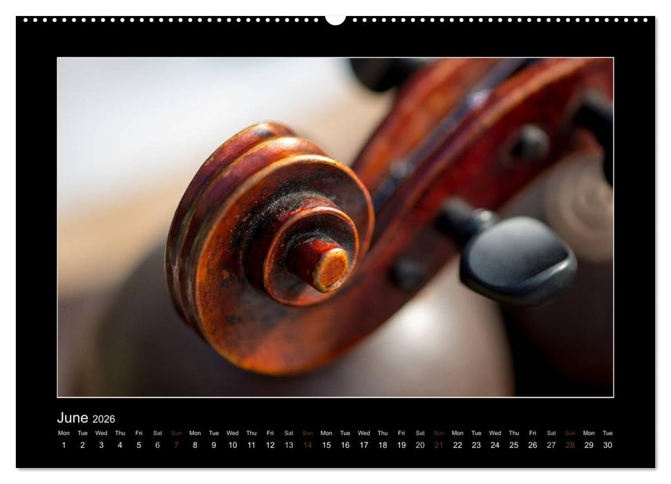 A violin only (CALVENDO Premium-Calendar 2026)