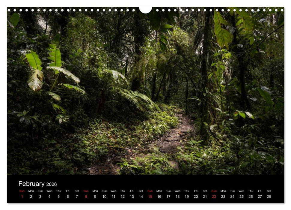Costa Rica Colours and Light (CALVENDO Monthly Calendar 2026)