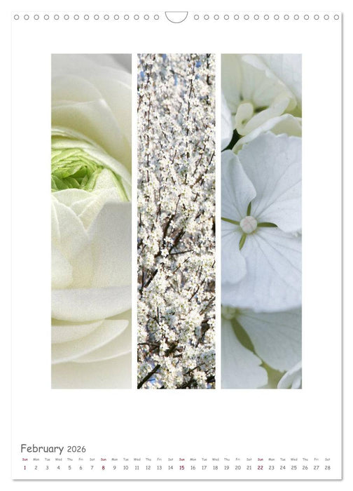 Colours of Nature - Triptycha (CALVENDO Monthly Calendar 2026)