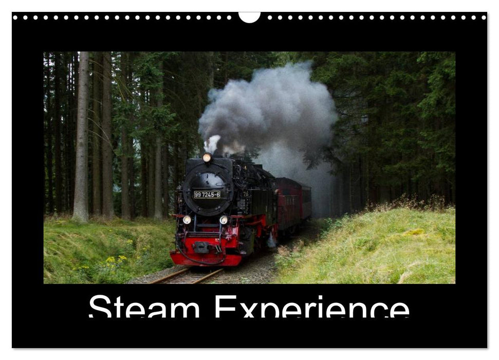 Steam Experience (CALVENDO Monthly Calendar 2026)