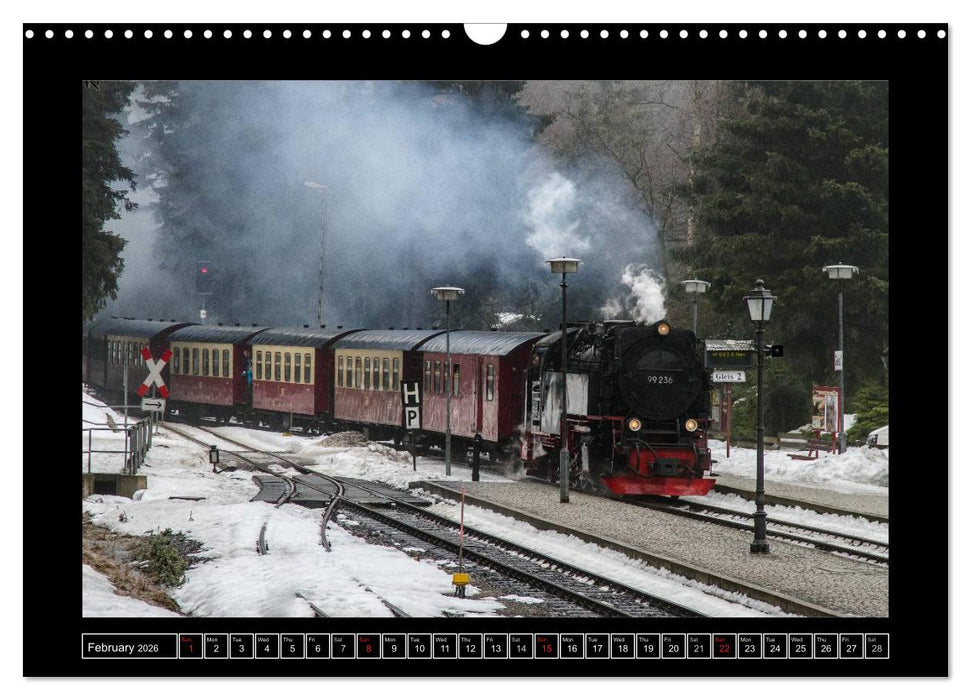 Steam Experience (CALVENDO Monthly Calendar 2026)