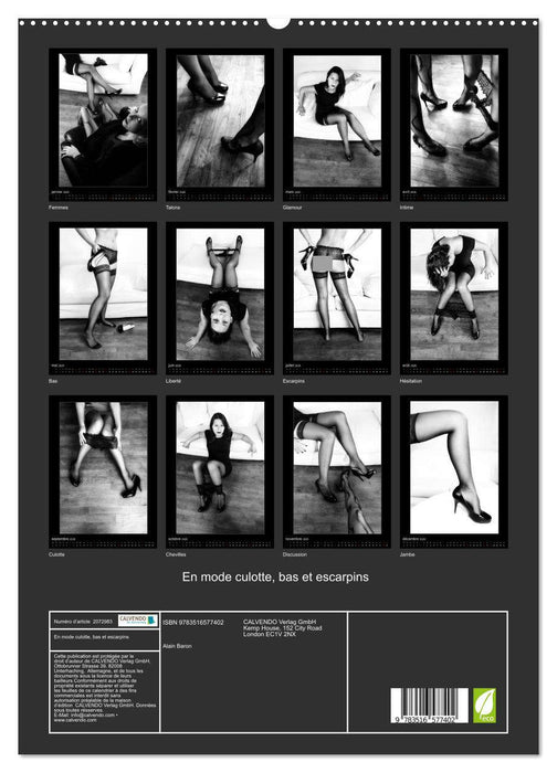 En mode culotte, bas et escarpins (CALVENDO Calendrier supérieur 2026)