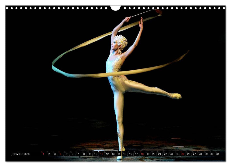 Alegria, Cirque du Soleil (CALVENDO Calendrier mensuel 2026)