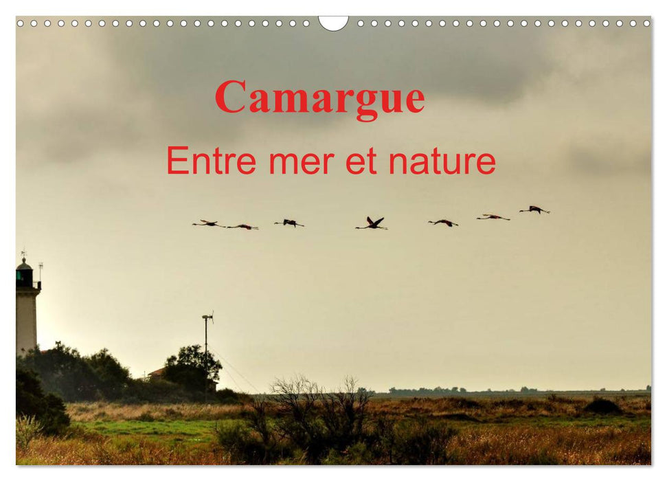 Camargue Entre mer et nature (CALVENDO Calendrier mensuel 2026)