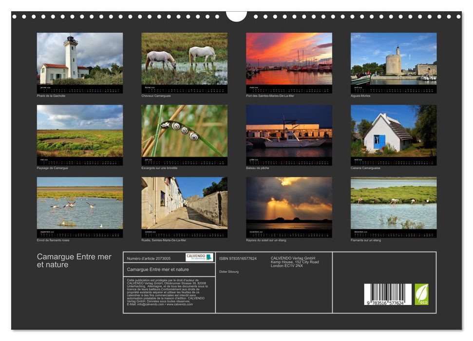 Camargue Entre mer et nature (CALVENDO Calendrier mensuel 2026)