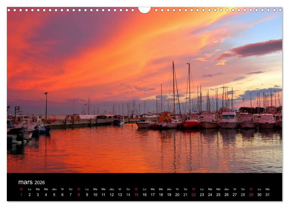 Camargue Entre mer et nature (CALVENDO Calendrier mensuel 2026)