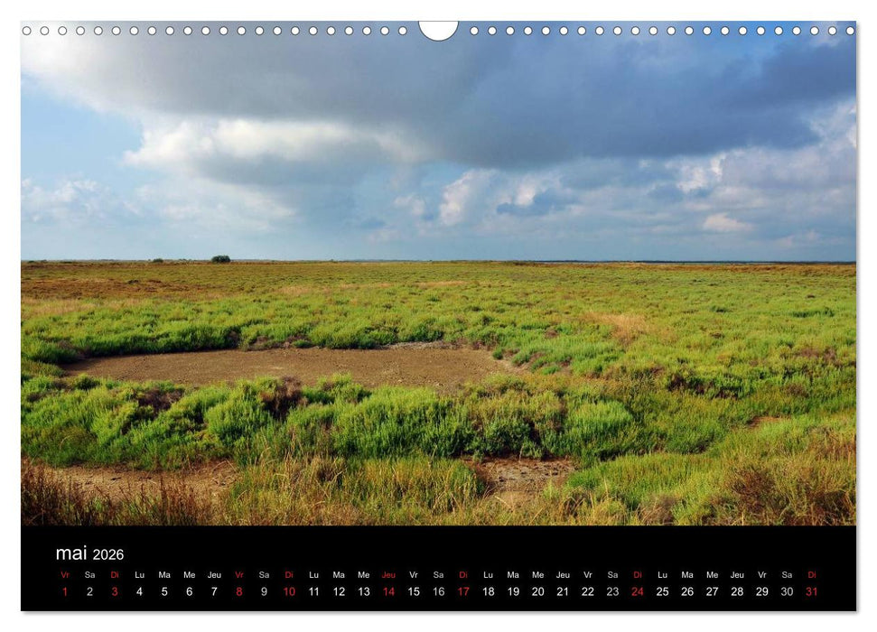 Camargue Entre mer et nature (CALVENDO Calendrier mensuel 2026)