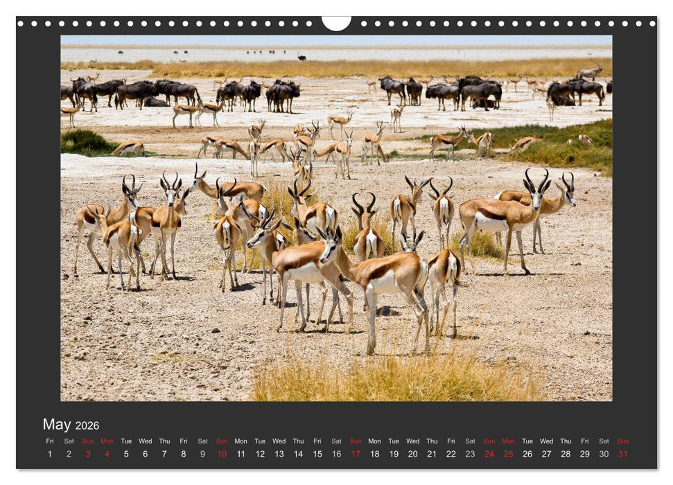 Namibia's Nature (CALVENDO Monthly Calendar 2026)