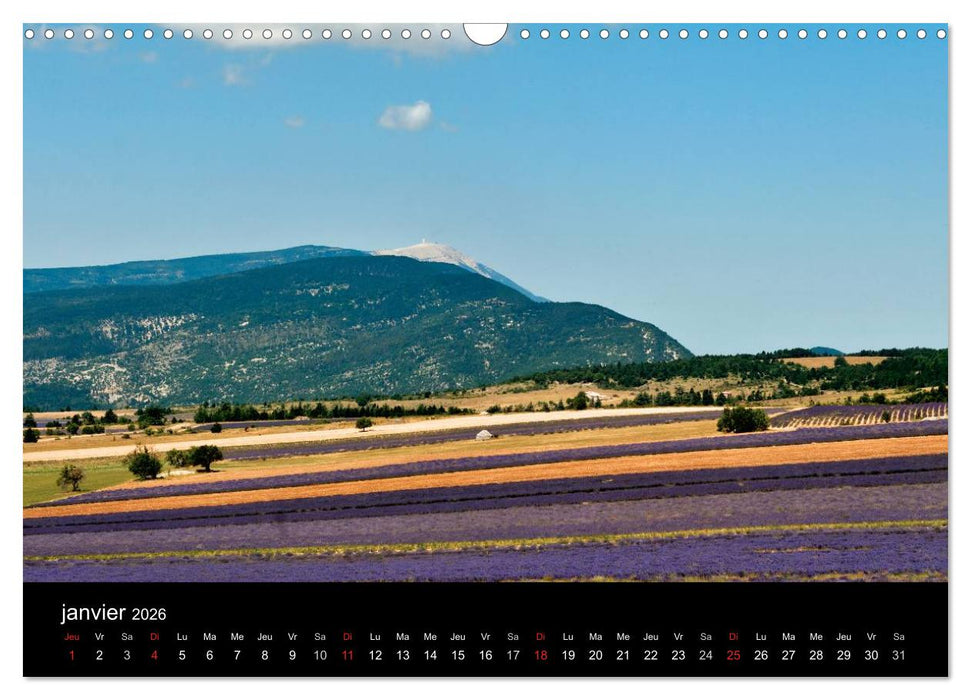 Lavande, l'or bleu de Provence (CALVENDO Calendrier mensuel 2026)