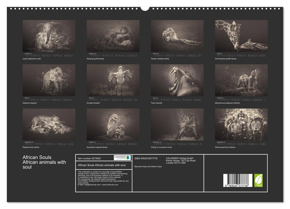 African Souls African animals with soul (CALVENDO Premium-Calendar 2026)