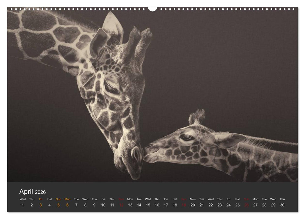 African Souls African animals with soul (CALVENDO Premium-Calendar 2026)