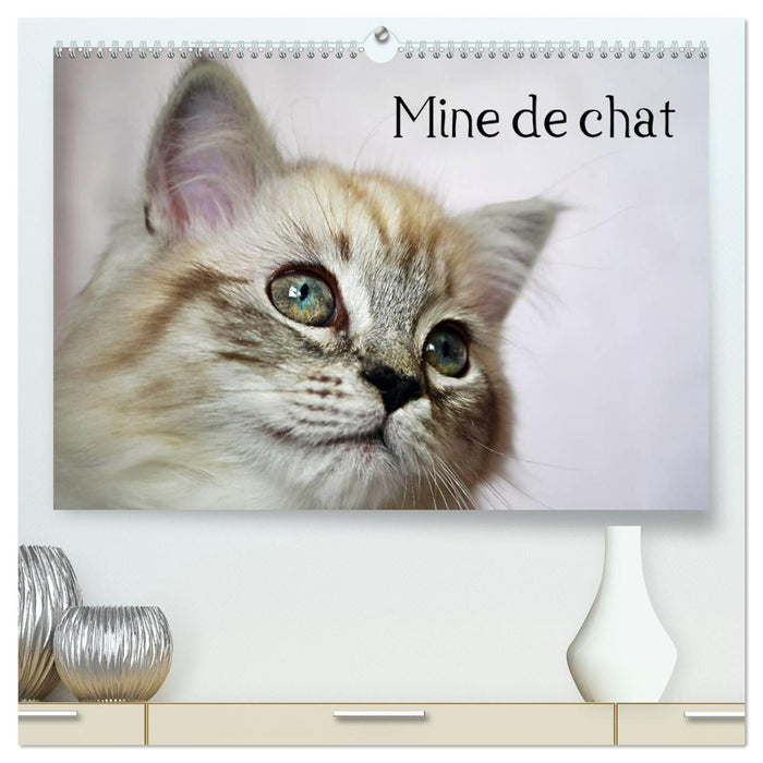 Mine de chat (CALVENDO Calendrier supérieur 2026)