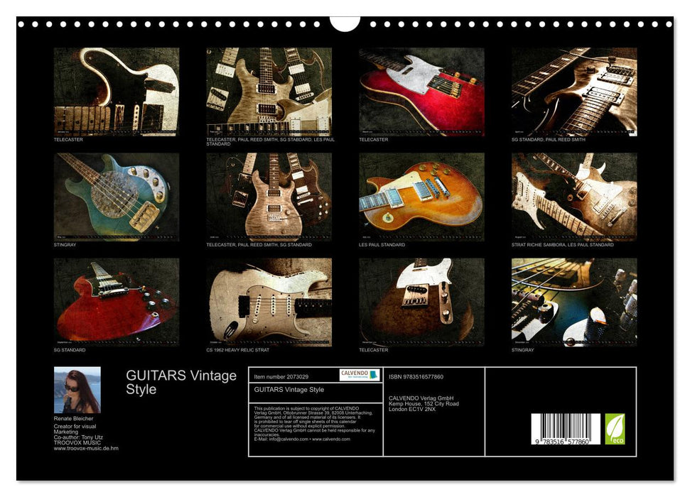 GUITARS Vintage Style (CALVENDO Monthly Calendar 2026)