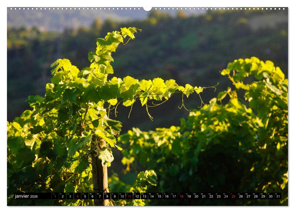 LE VIN (CALVENDO Calendrier supérieur 2026)