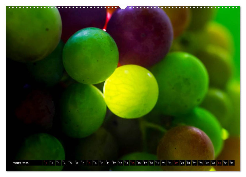 LE VIN (CALVENDO Calendrier supérieur 2026)