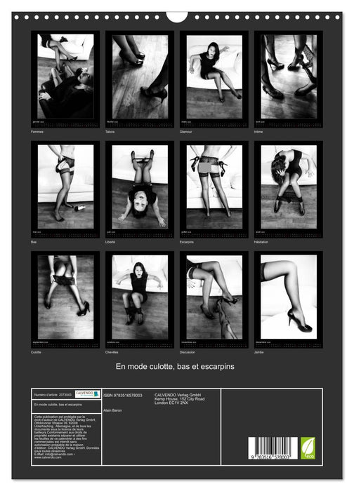 En mode culotte, bas et escarpins (CALVENDO Calendrier mensuel 2026)