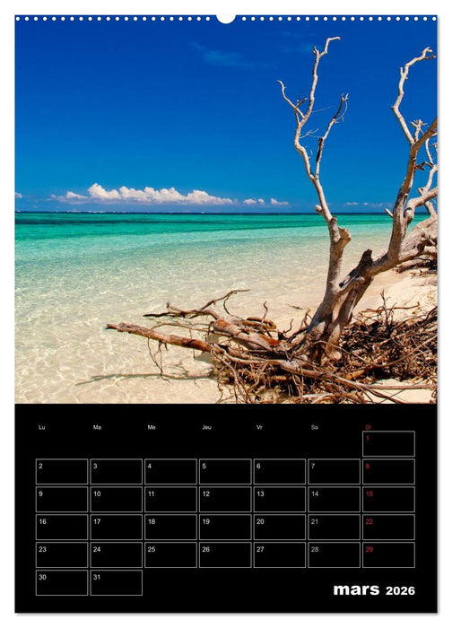 Paysages calédoniens (CALVENDO Calendrier supérieur 2026)