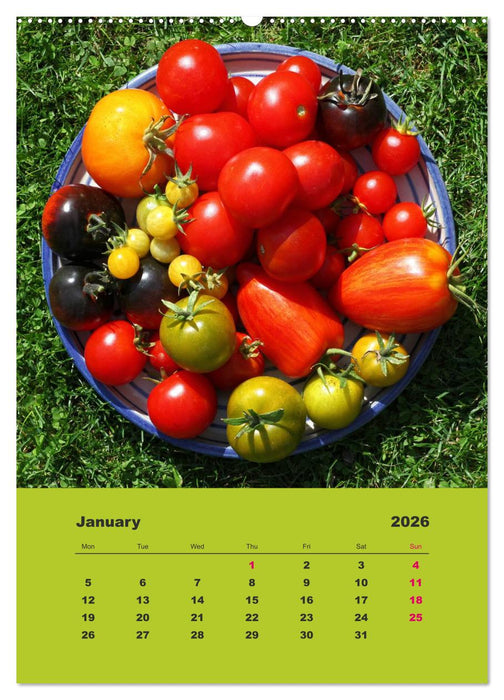 Organic Tomatoes (CALVENDO Premium-Calendar 2026)