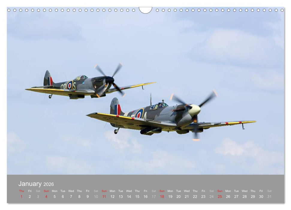 The Flying Legends (CALVENDO Monthly Calendar 2026)