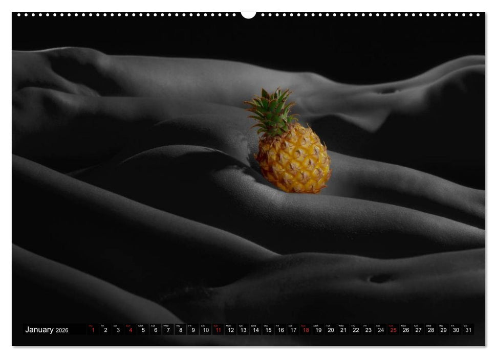 Fruit Nudes (CALVENDO Premium-Calendar 2026)