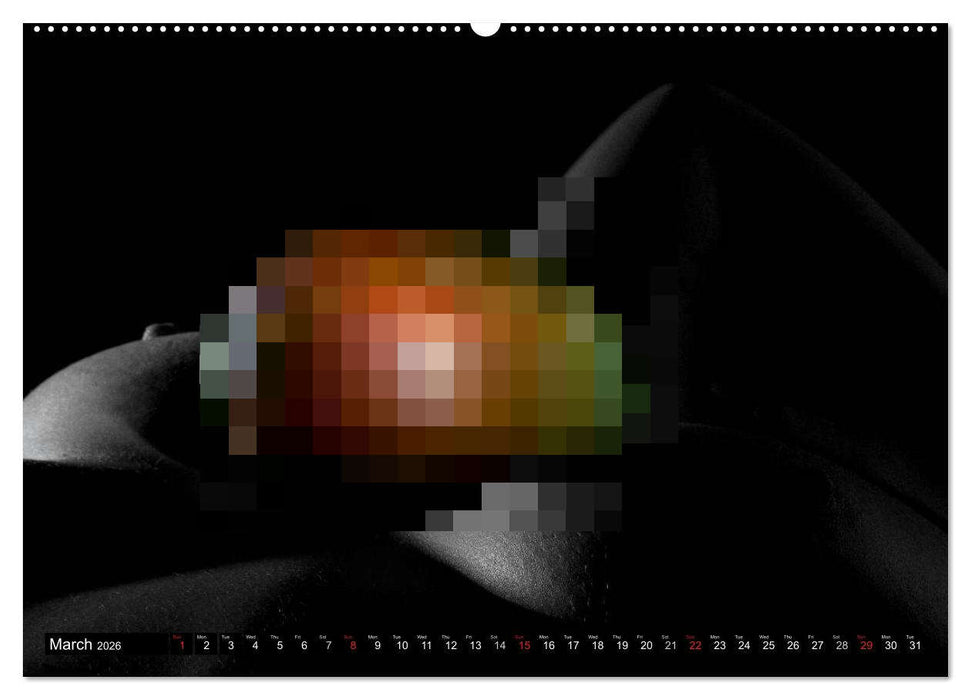Fruit Nudes (CALVENDO Premium-Calendar 2026)