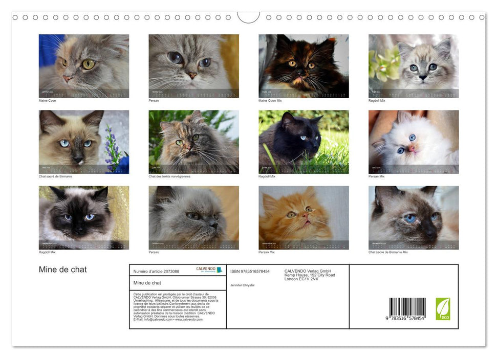 Mine de chat (CALVENDO Calendrier mensuel 2026)